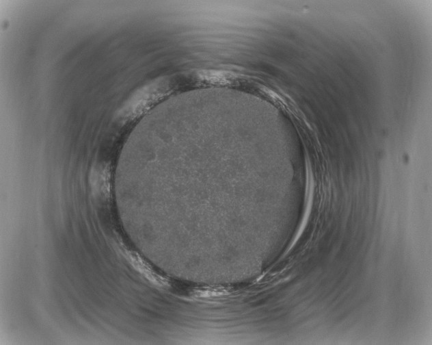 X0000087420466200704201430