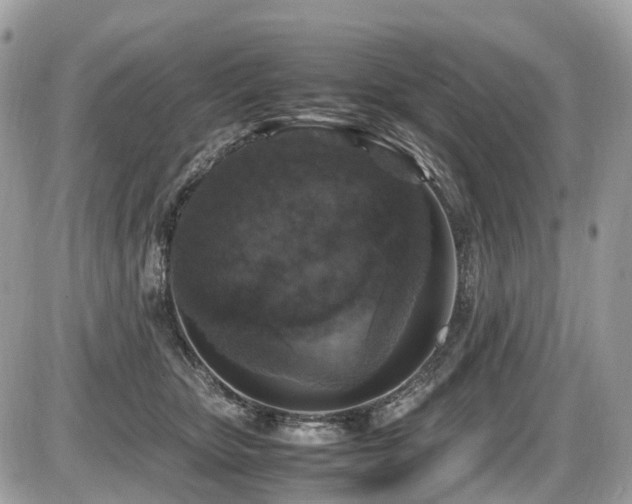 X0000087420467200704201430