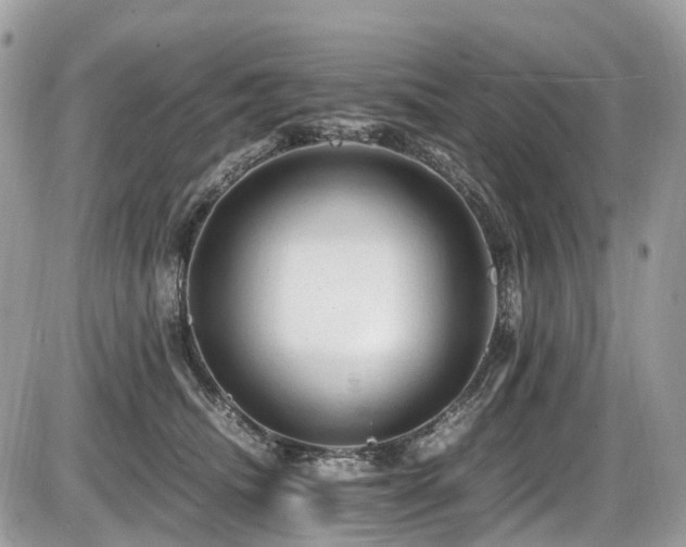 X0000087420468200704201430