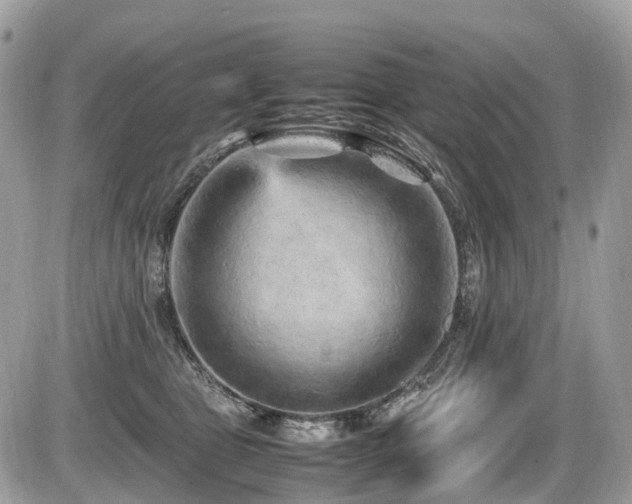 X0000087420469200704201430