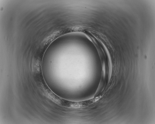 X0000087420470200704201430