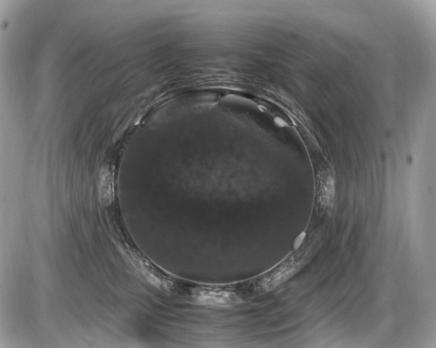 X0000087420471200704201430