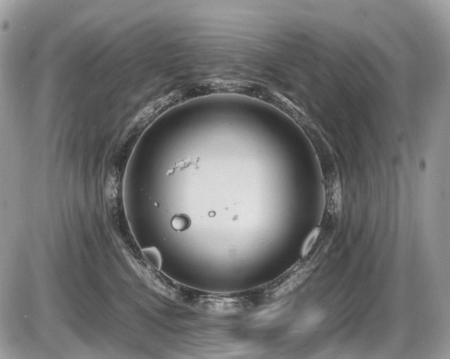 X0000087420472200704201430