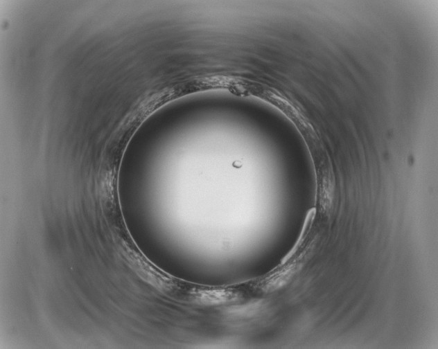 X0000087420473200704201430