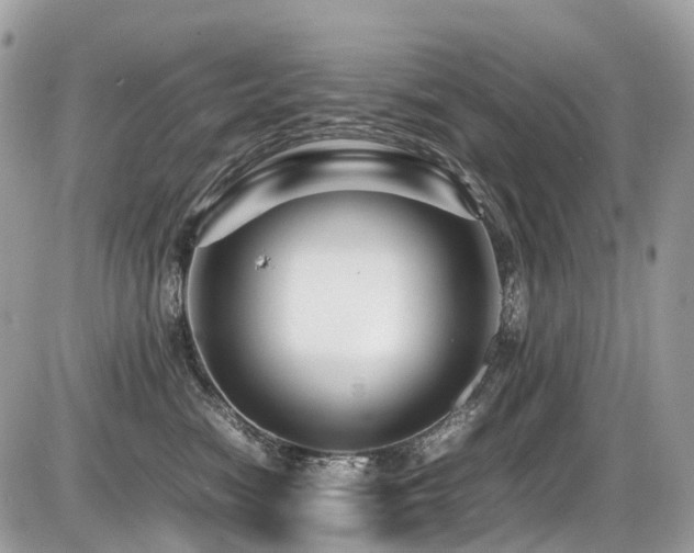 X0000087420474200704201430