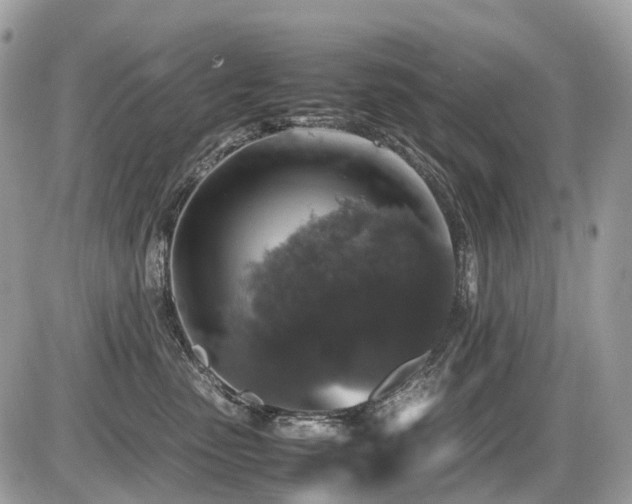 X0000087420475200704201430