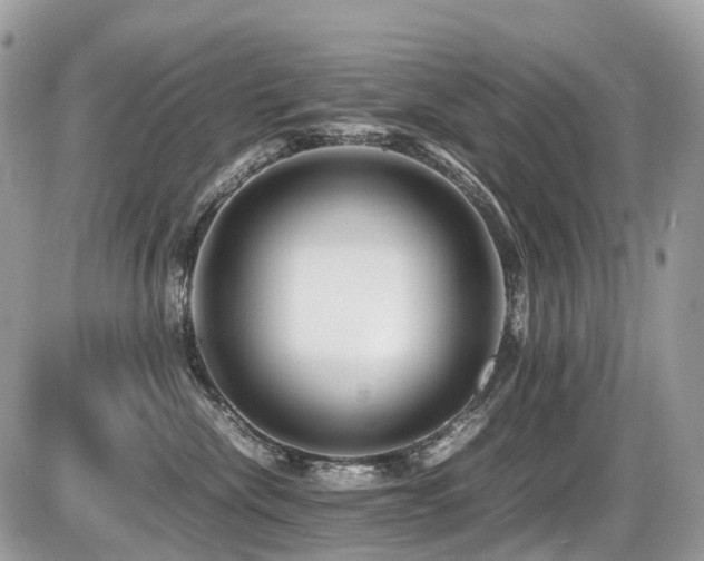 X0000087420476200704201430