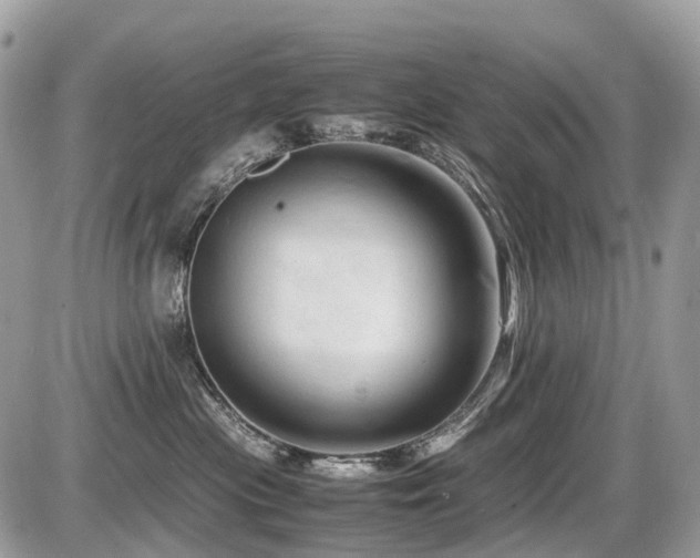 X0000087420477200704201430