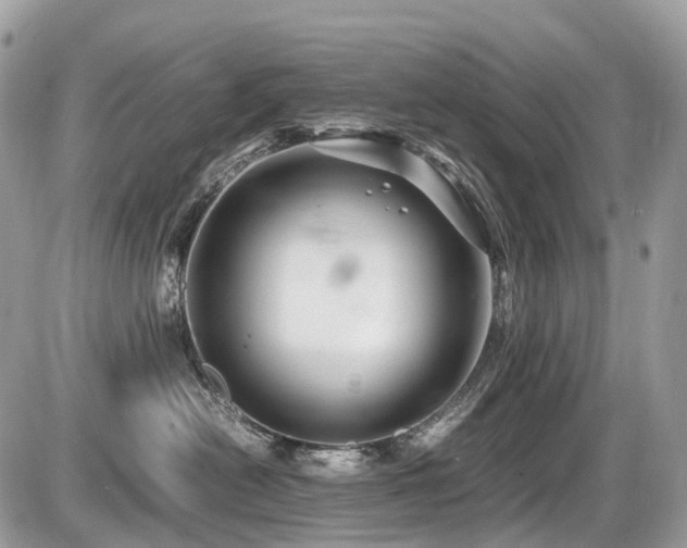 X0000087420478200704201430