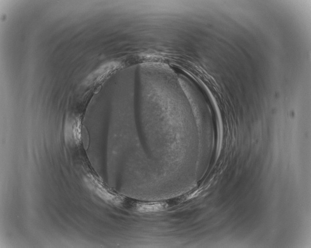 X0000087420479200704201430