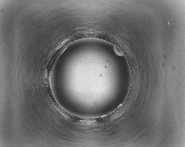 X0000087420480200704201430