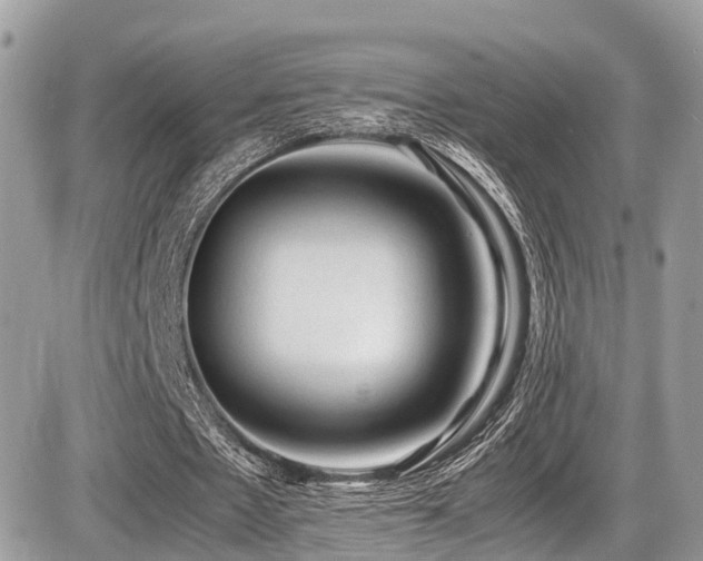 X0000087420481200704201430