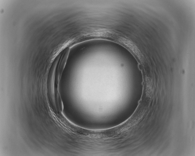 X0000087420482200704201429