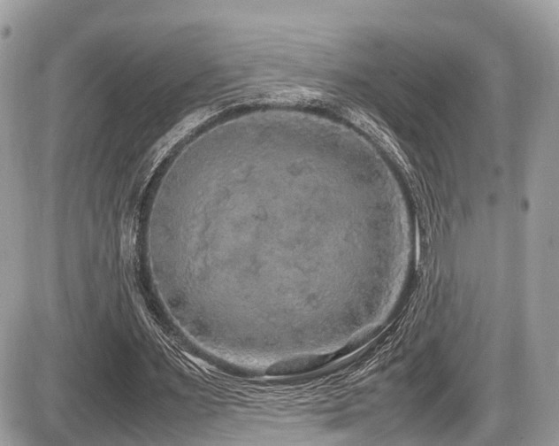 X0000087420483200704201429