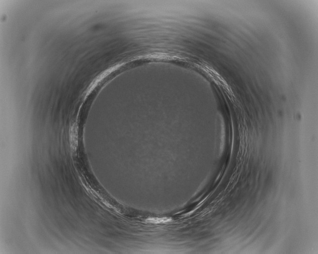 X0000087420484200704201429