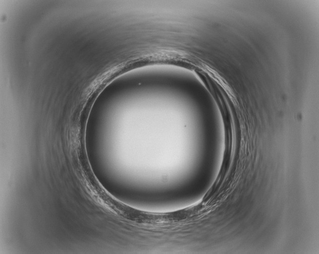 X0000087420485200704201429