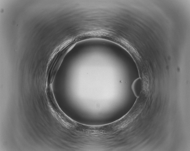 X0000087420486200704201429