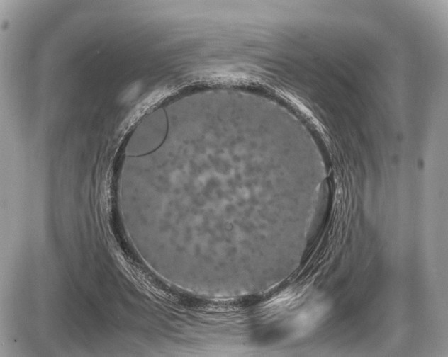 X0000087420487200704201429