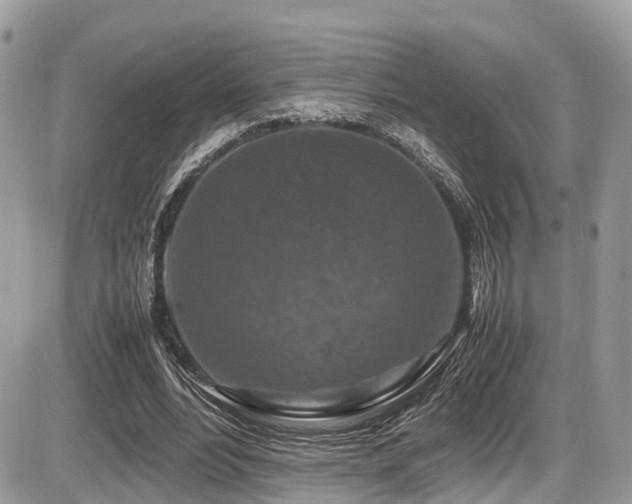 X0000087420488200704201429