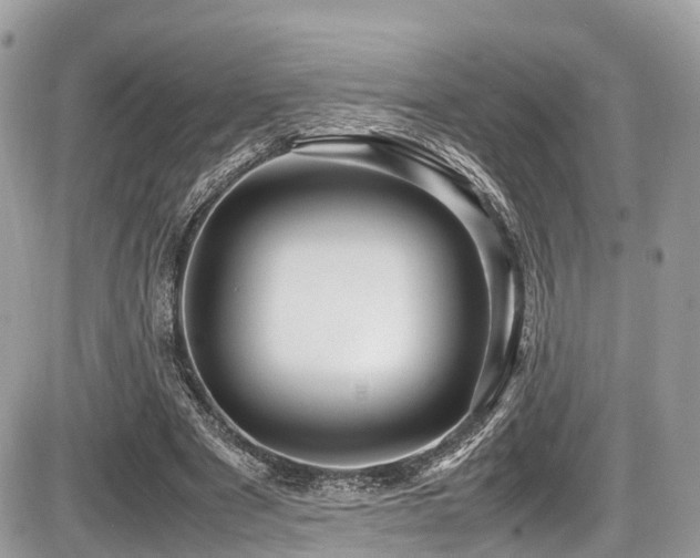 X0000087420489200704201429