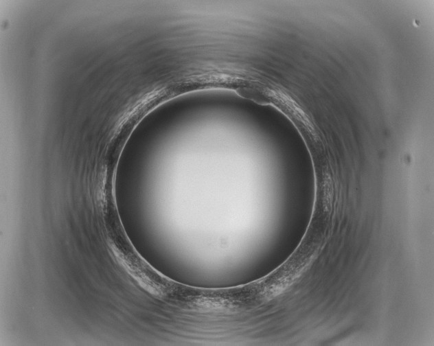 X0000087420490200704201429