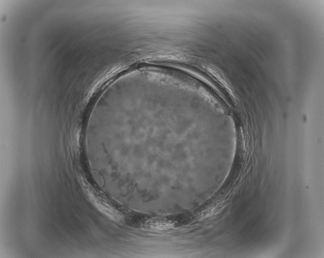 X0000087420491200704201429