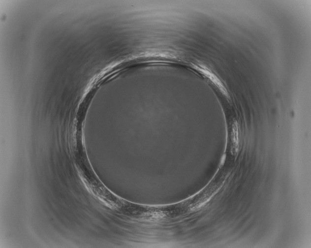 X0000087420492200704201429