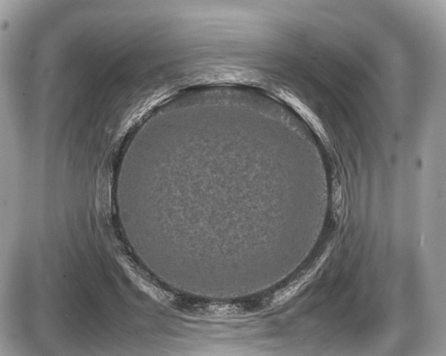 X0000087420493200704201429