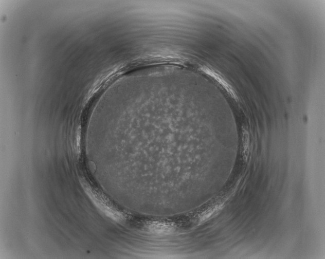 X0000087420494200704201429