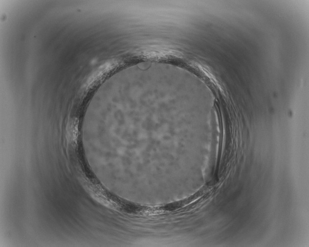 X0000087420495200704201429