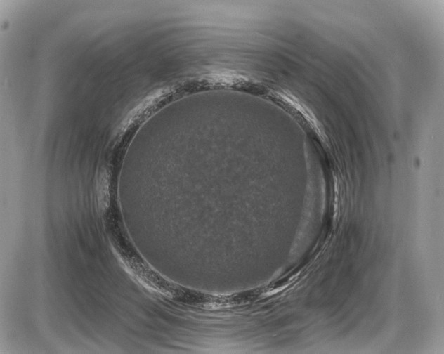 X0000087420496200704201429