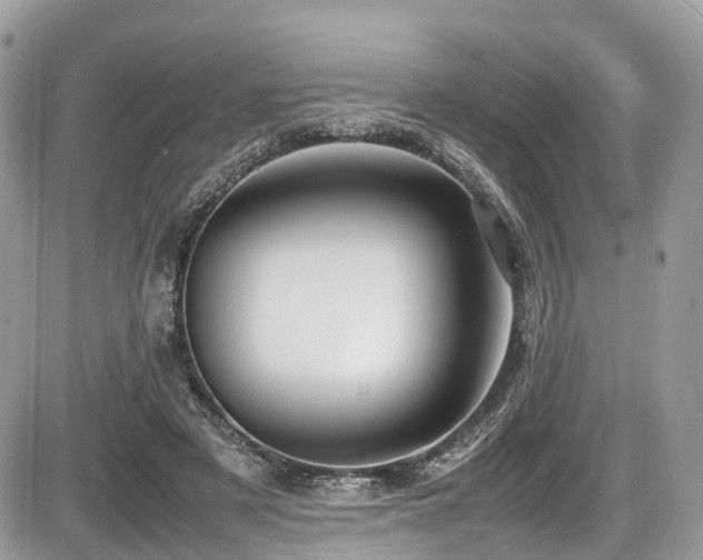 X0000087420497200704201429