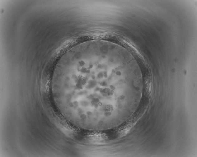 X0000087420499200704201429