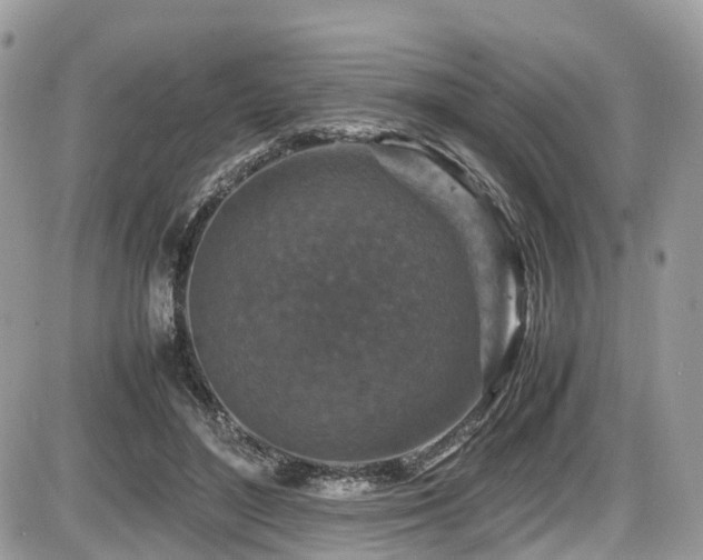 X0000087420500200704201429