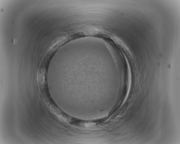 X0000087420501200704201429