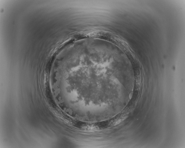 X0000087420503200704201429