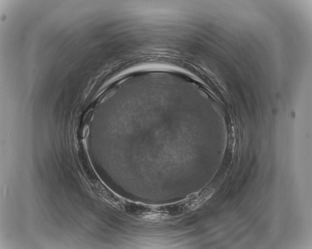 X0000087420504200704201429