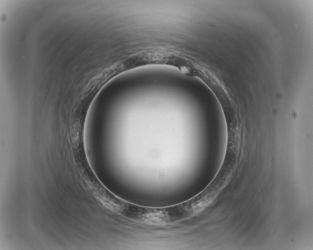 X0000087420505200704201429