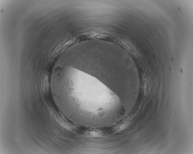 X0000087420506200704201429