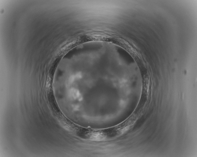 X0000087420507200704201429