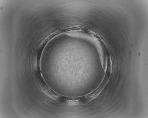 X0000087420508200704201429