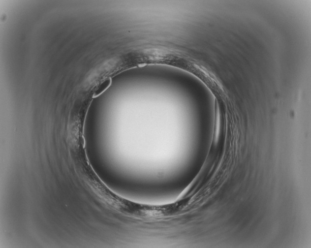 X0000087420509200704201429