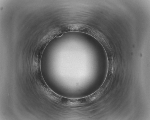 X0000087420510200704201429