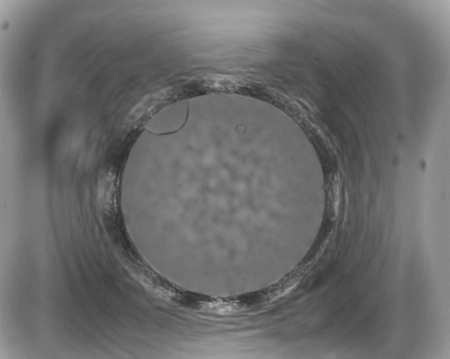 X0000087420511200704201429