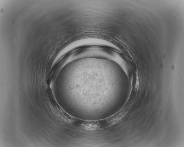 X0000087420512200704201429