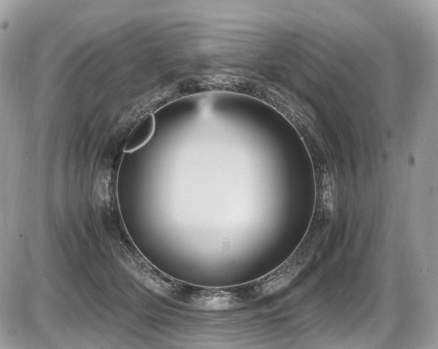 X0000087420514200704201429