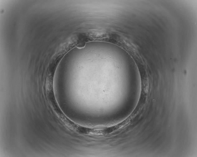 X0000087420515200704201429