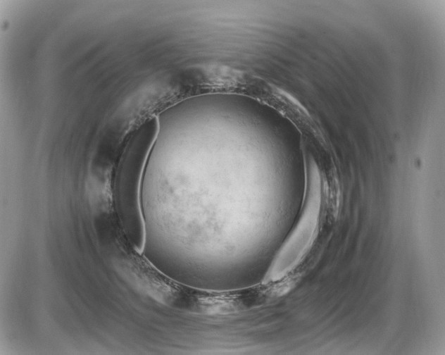 X0000087420516200704201429