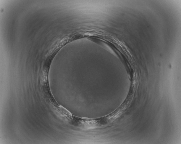 X0000087420517200704201429