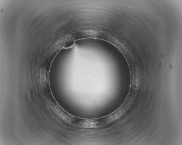 X0000087420518200704201429